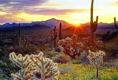 desert