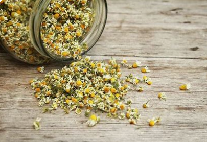 chamomile, dried