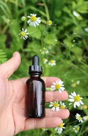 Night Thyme Relaxation Tincture