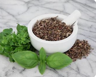 Tulsi (Ocimum tenuiflorum), also known as Holy Basil, is a revered adaptogenic herb known for its stress-relieving and immune-supporting properties.  